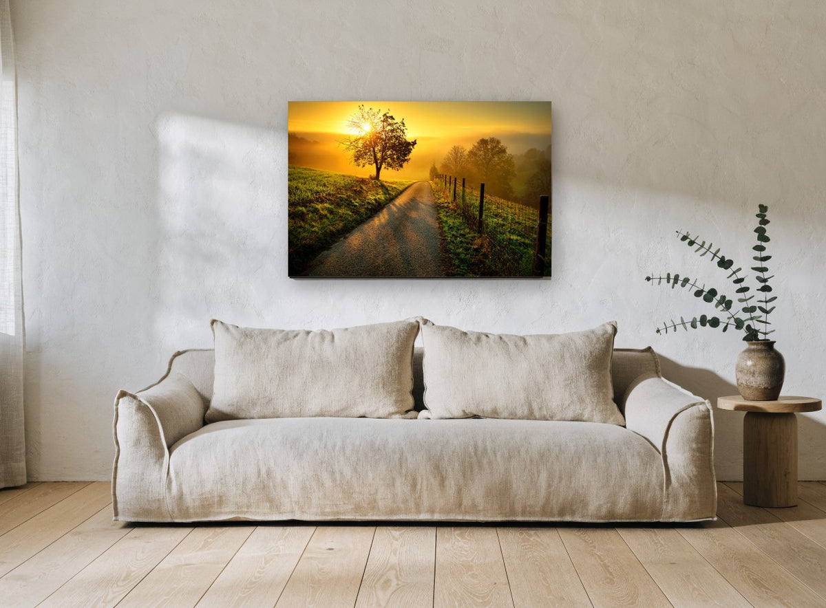 Golden Lane Sunrise landscape canvas print on the wall of a living room