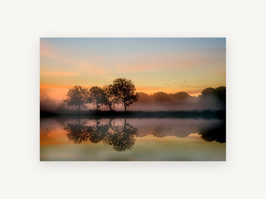 Amber Dawn Reflections, misty sunrise lake tree reflection photograph, landscape canvas wall art print, front view