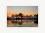 Amber Dawn Reflections, misty sunrise lake tree reflection photograph, landscape canvas wall art print, front view