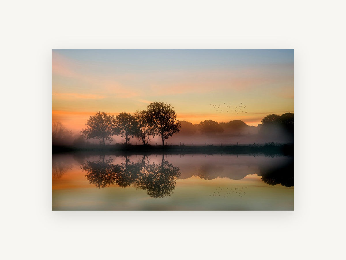 Amber Dawn Reflections, misty sunrise lake tree reflection photograph, landscape canvas wall art print, front view