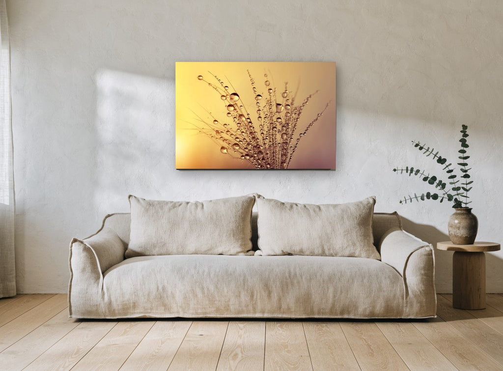 Golden Dew Seedhead floral canvas print on the wall of a living room