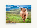 Ginger Highland Stare, highland cow mountain landscape photograph, landscape canvas wall art print ready to hang