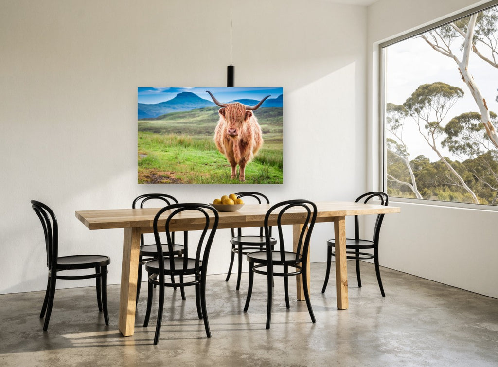 Ginger Highland Stare landscape canvas print on the wall of a dining room