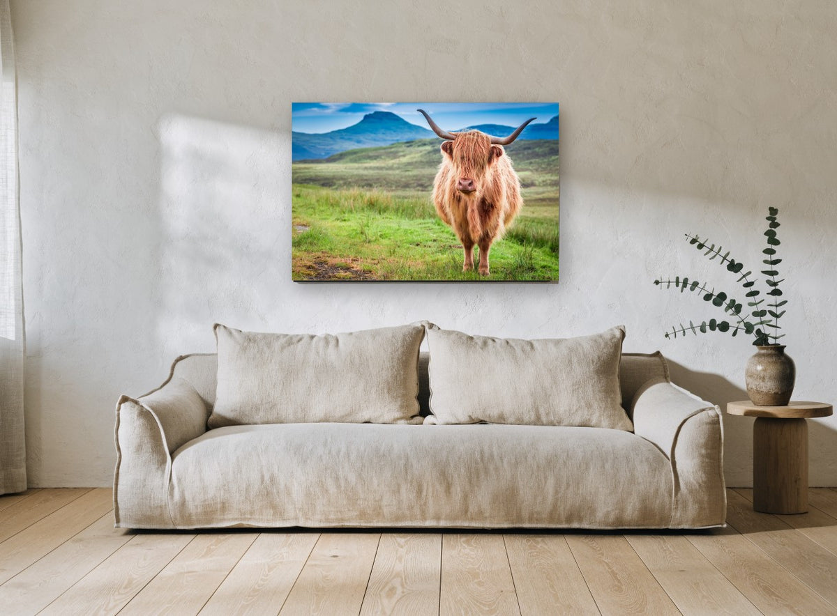 Ginger Highland Stare landscape canvas print on the wall of a living room