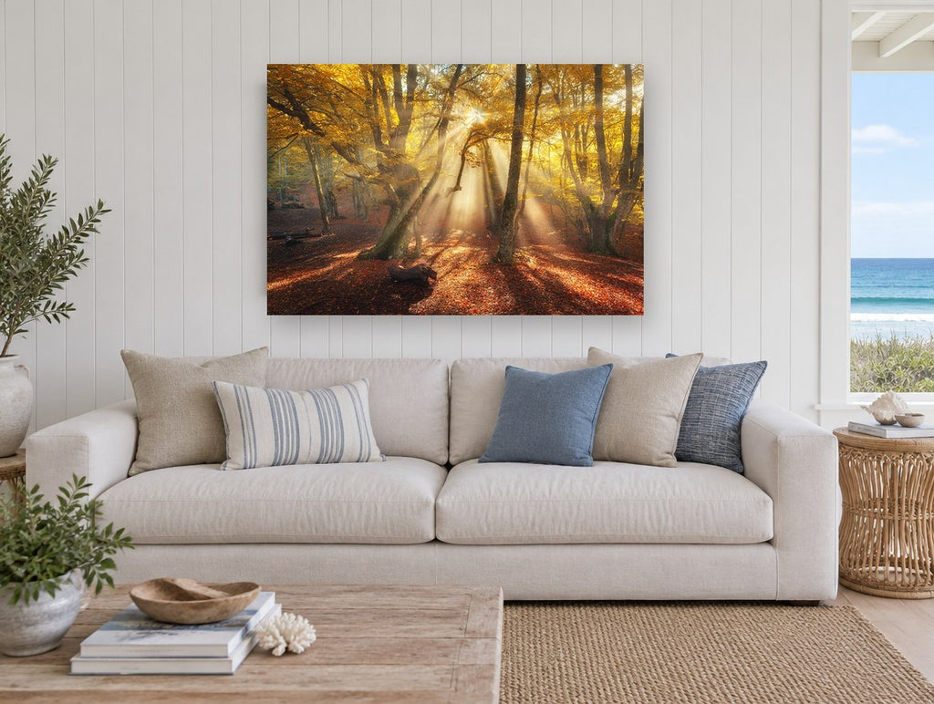 Golden Beech Light landscape canvas print on the wall of a beach house living room