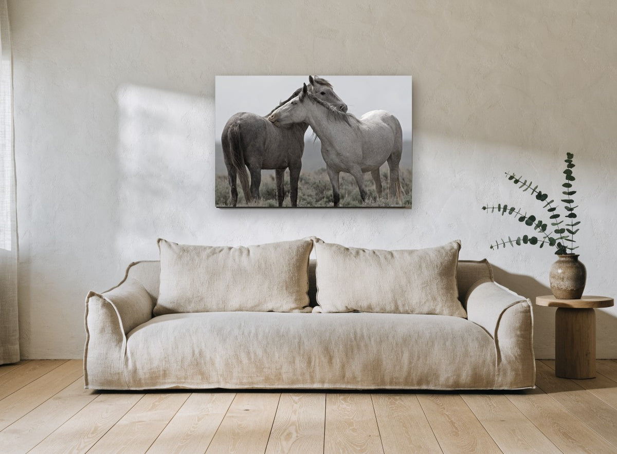 Quiet Affection landscape canvas print on the wall of a living room