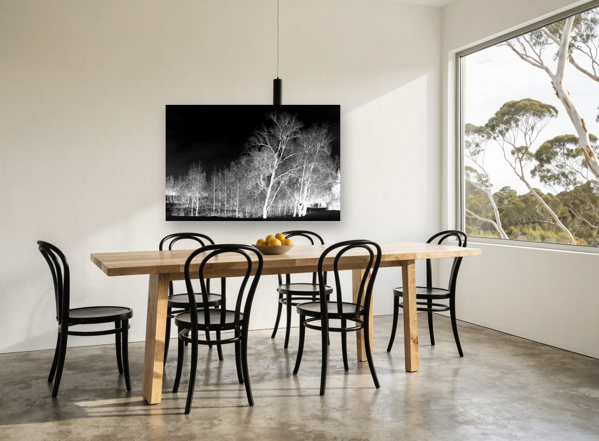 Bone White Birches landscape canvas print on the wall of a dining room