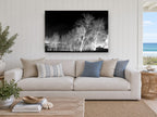 Bone White Birches landscape canvas print on the wall of a beach house living room