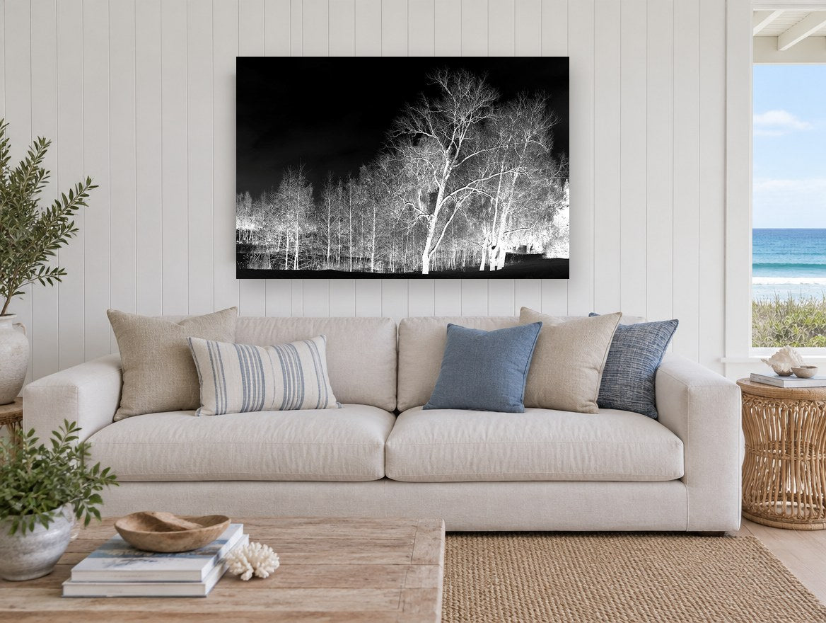 Bone White Birches landscape canvas print on the wall of a beach house living room