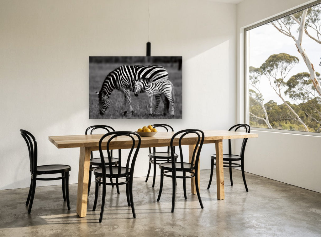 Zebra Grazing Stripes Together landscape canvas print on the wall of a dining room