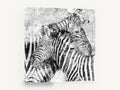 Splattered Zebra Pair, black and white zebra pair artwork, animal canvas wall art print ready to hang