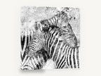 Splattered Zebra Pair, black and white zebra pair artwork, animal canvas wall art print ready to hang
