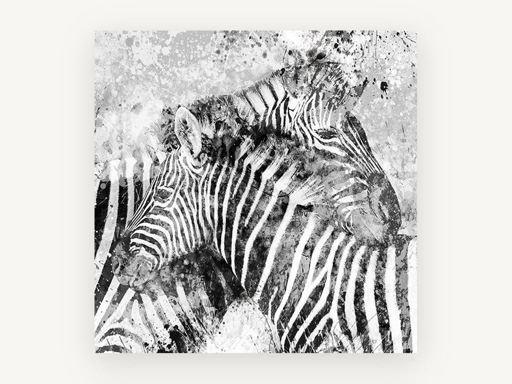 Splattered Zebra Pair, black and white zebra pair artwork, animal canvas wall art print, front view
