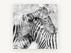 Splattered Zebra Pair, black and white zebra pair artwork, animal canvas wall art print, front view