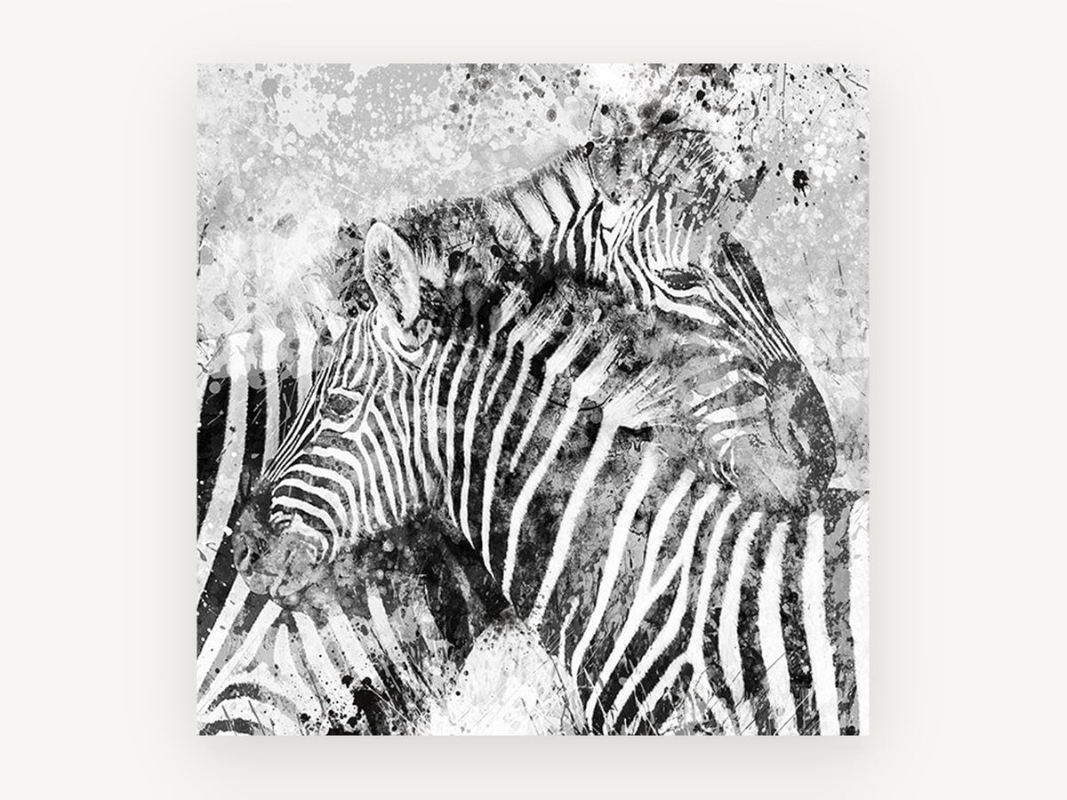 Splattered Zebra Pair, black and white zebra pair artwork, animal canvas wall art print, front view