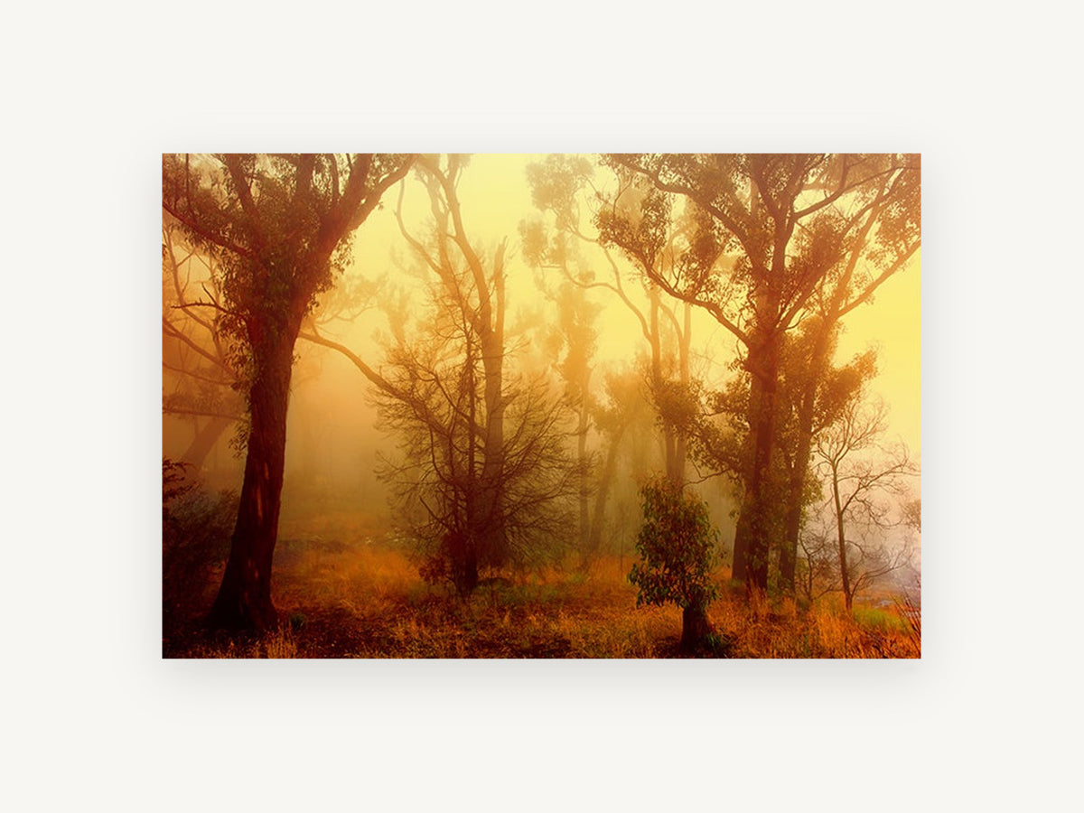 Golden Fog Forest, floral canvas wall art print, front view