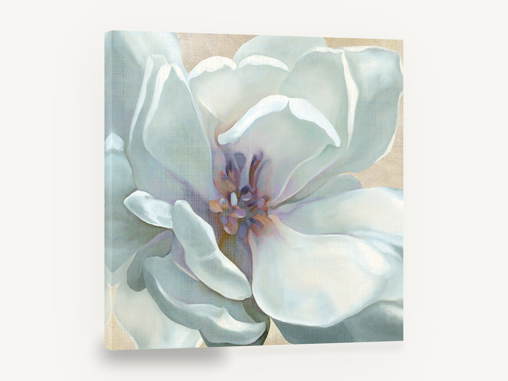Pale Magnolia Bloom, white magnolia flower close-up painting, floral canvas wall art print ready to hang