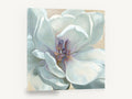 Pale Magnolia Bloom, white magnolia flower close-up painting, floral canvas wall art print ready to hang