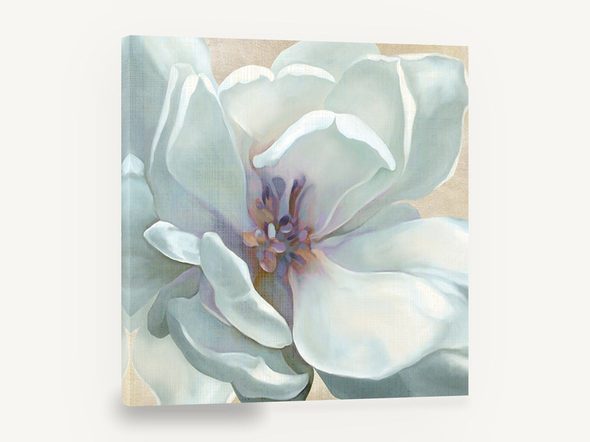Pale Magnolia Bloom, white magnolia flower close-up painting, floral canvas wall art print ready to hang