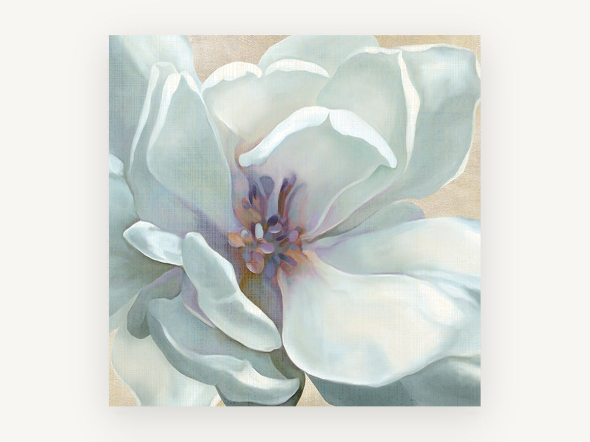 Pale Magnolia Bloom, floral canvas wall art print, front view