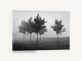Park Trees in Fog, black and white foggy trees photograph, landscape canvas wall art print ready to hang