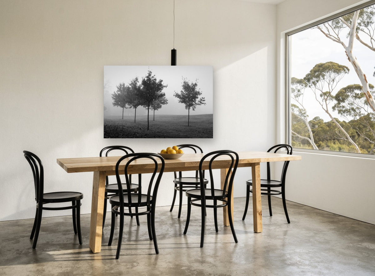Park Trees in Fog landscape canvas print on the wall of a dining room