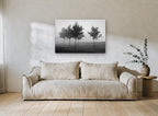 Park Trees in Fog landscape canvas print on the wall of a living room