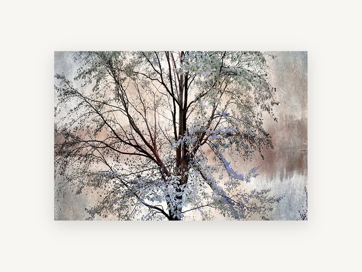 Pale Spring Tree, pale leafed tree textured landscape, landscape canvas wall art print, front view