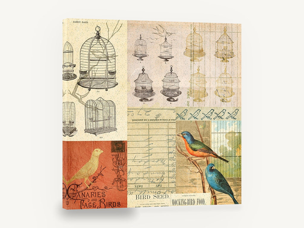 Parrot Cages Collage, vintage bird cage collage illustration, animal canvas wall art print ready to hang