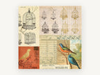 Parrot Cages Collage, vintage bird cage collage illustration, animal canvas wall art print, front view
