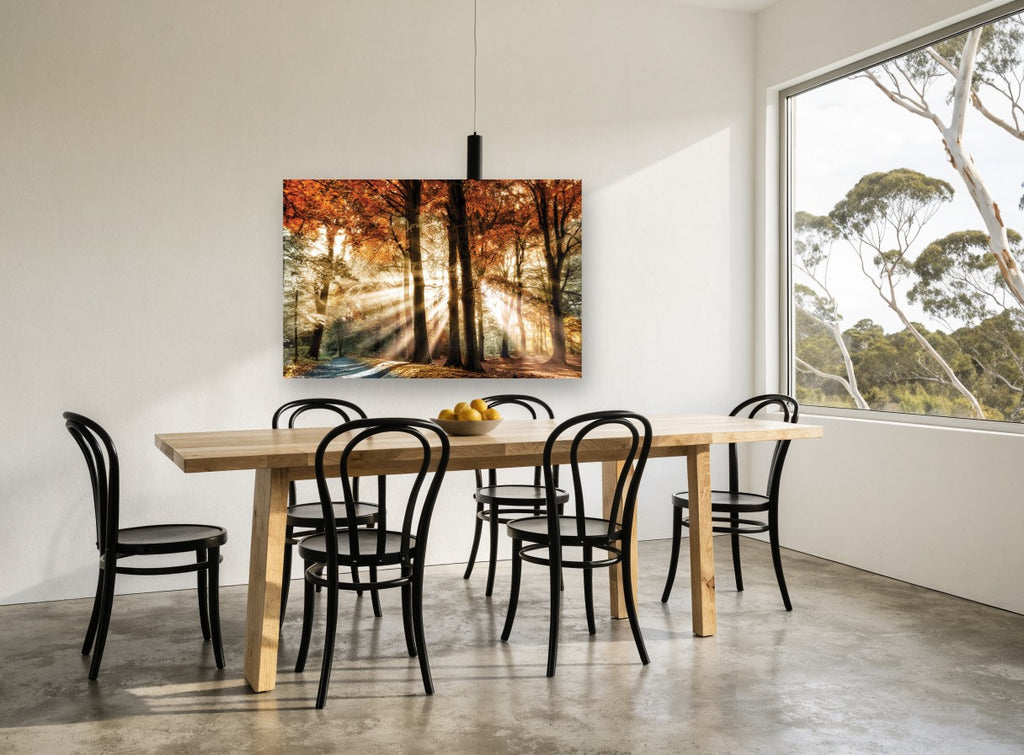 Sunbeams Through Autumn Beeches landscape canvas print on the wall of a dining room