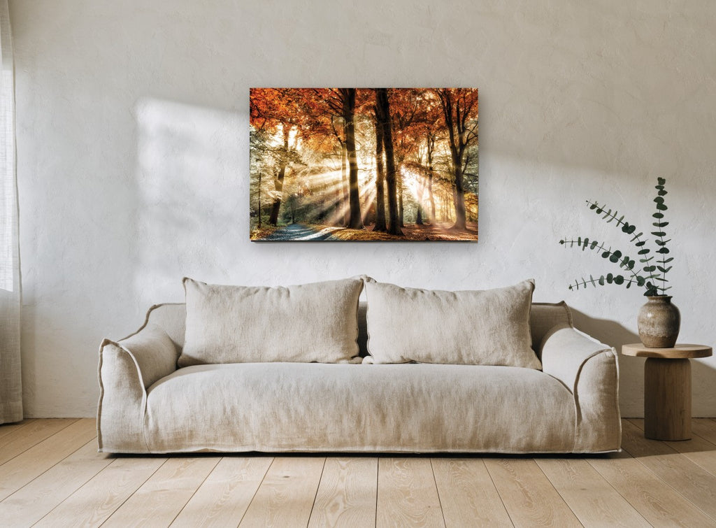Sunbeams Through Autumn Beeches landscape canvas print on the wall of a living room