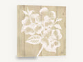 White Dogwood on Timber, white dogwood blossom botanical illustration, floral canvas wall art print ready to hang
