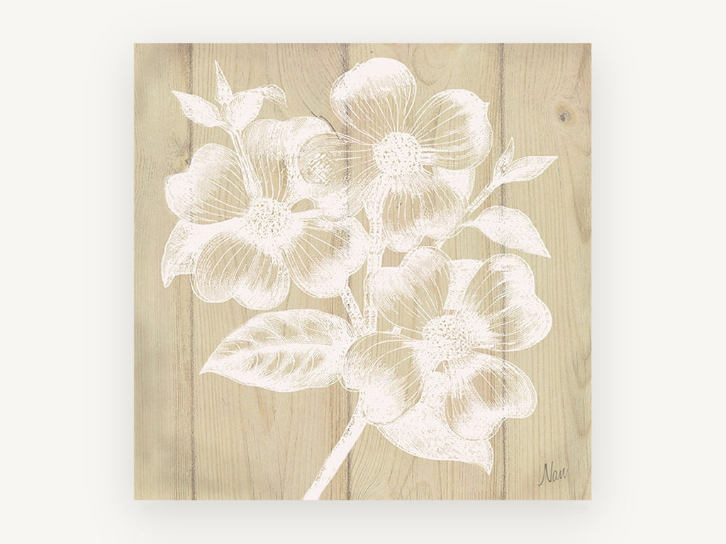 White Dogwood on Timber, floral canvas wall art print, front view