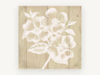White Dogwood on Timber, floral canvas wall art print, front view
