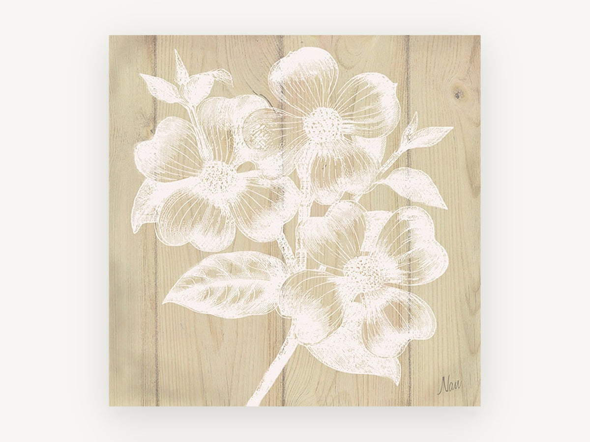 White Dogwood on Timber, floral canvas wall art print, front view