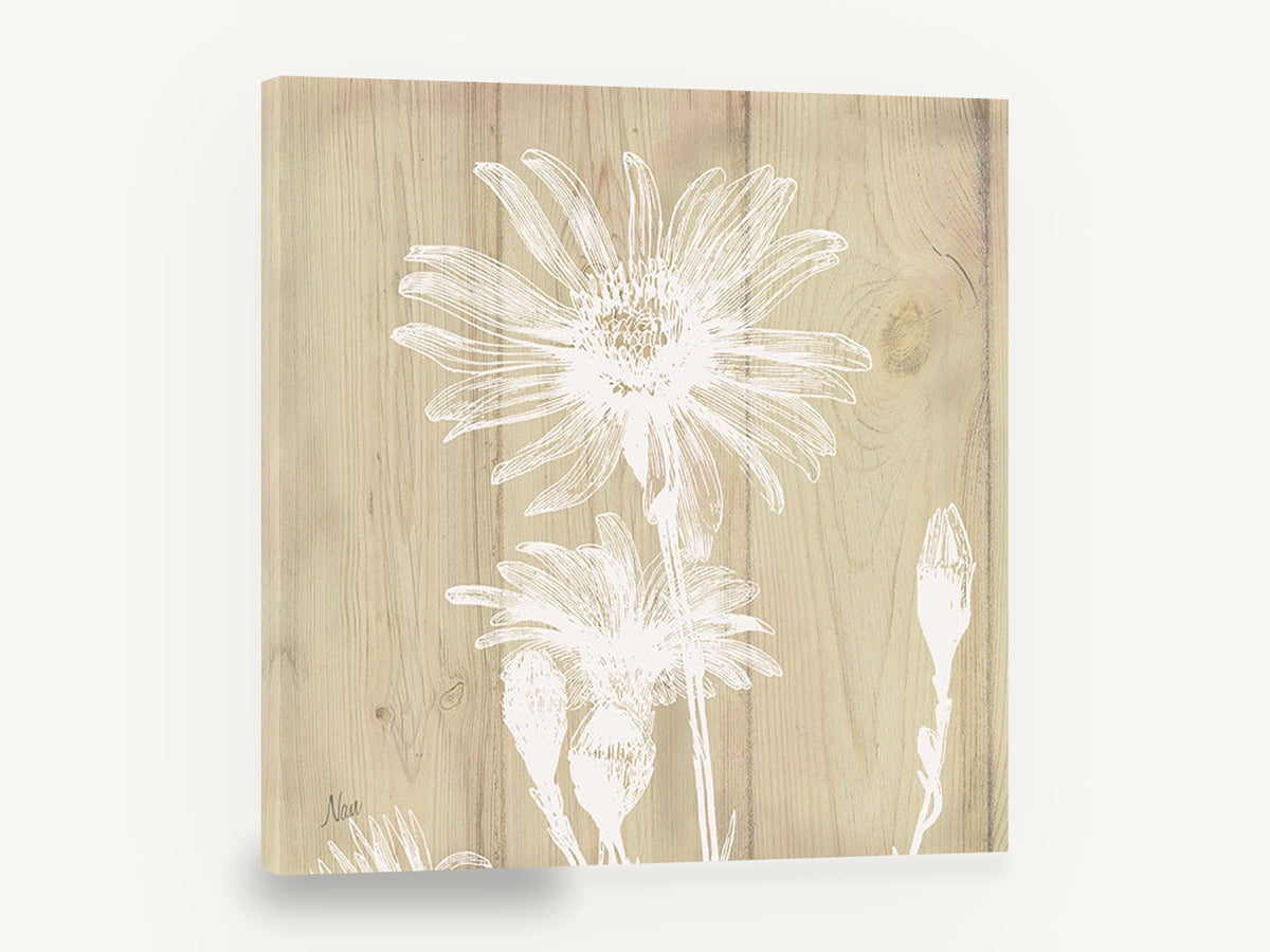 White Daisy on Pale Timber, white daisy silhouette on wood, floral canvas wall art print ready to hang
