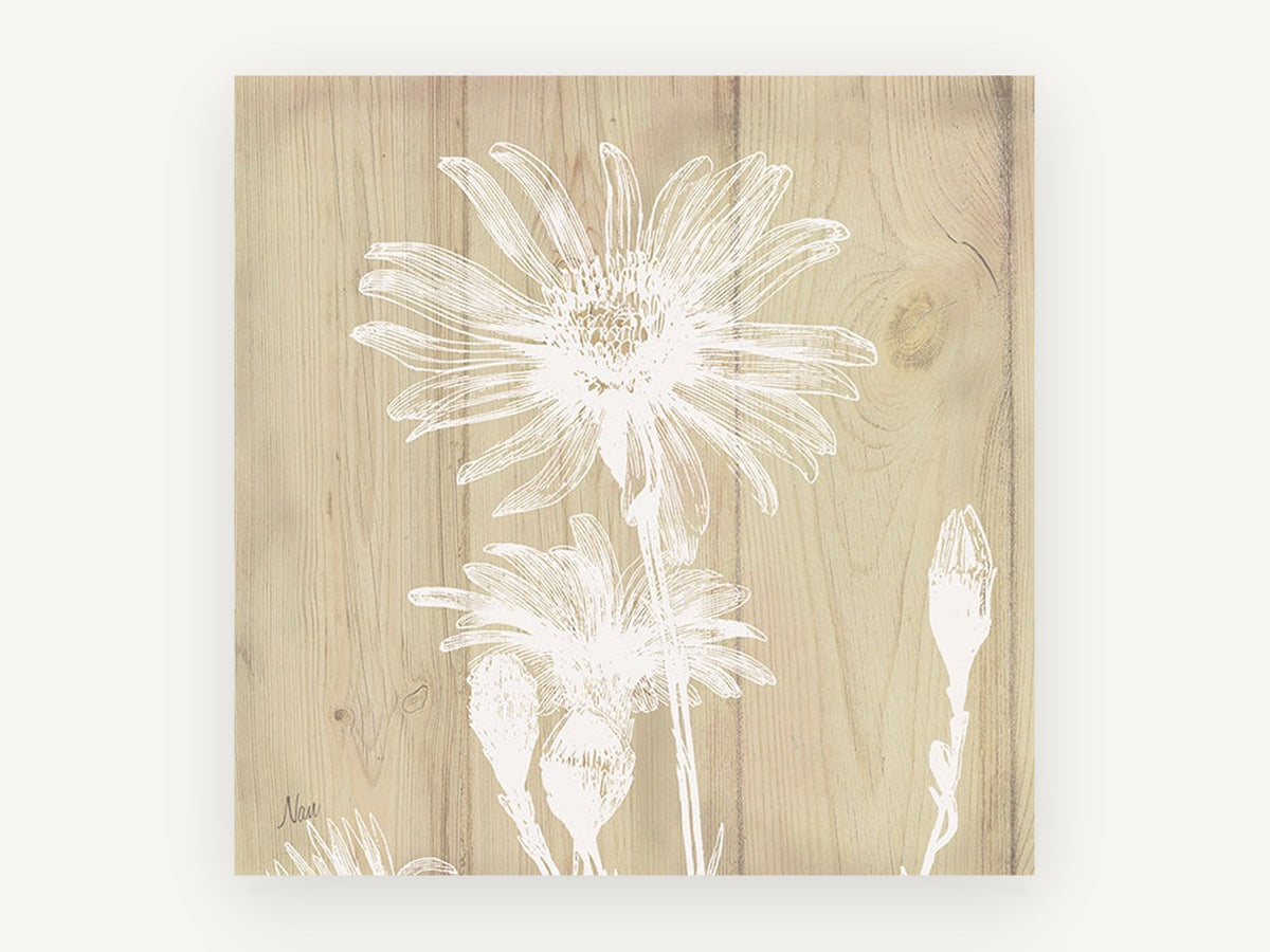 White Daisy on Pale Timber, floral canvas wall art print, front view