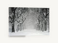 Snowfall Tree Avenue, snowy tree avenue black and white photograph, landscape canvas wall art print ready to hang