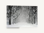 Snowfall Tree Avenue, snowy tree avenue black and white photograph, landscape canvas wall art print ready to hang
