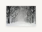 Snowfall Tree Avenue, snowy tree avenue black and white photograph, landscape canvas wall art print, front view