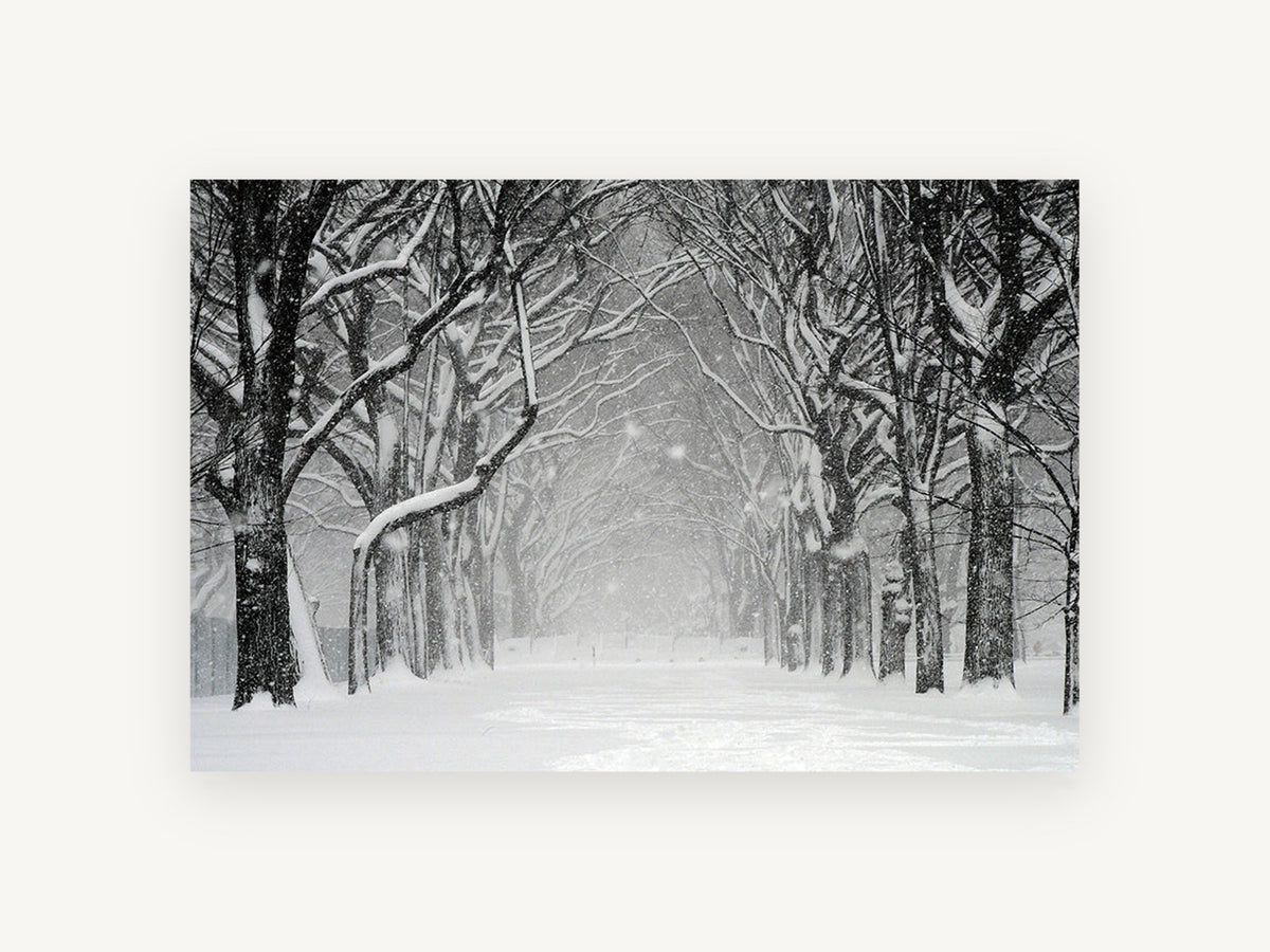 Snowfall Tree Avenue, snowy tree avenue black and white photograph, landscape canvas wall art print, front view