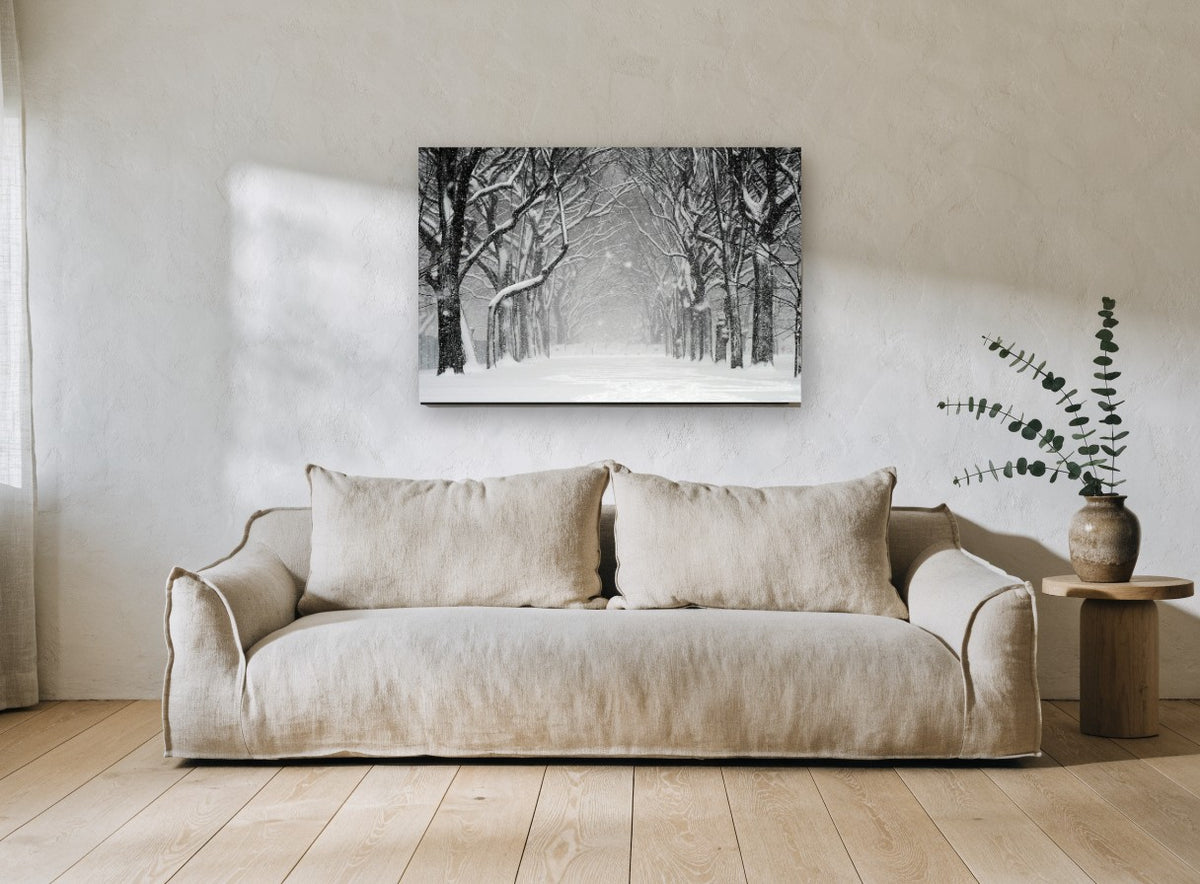 Snowfall Tree Avenue landscape canvas print on the wall of a living room