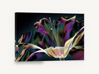 Iridescent Lily Bloom, iridescent lily digital floral art, floral canvas wall art print ready to hang