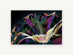 Iridescent Lily Bloom, floral canvas wall art print, front view