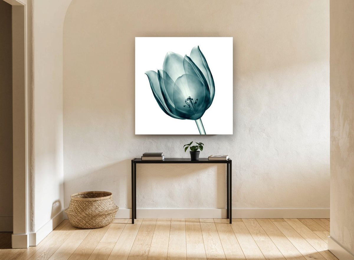 Teal Glass Tulip floral canvas print on the wall of a hallway