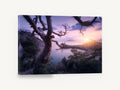 Twisted Tree Sunrise Bay, twisted tree coastal sunrise photograph, coastal canvas wall art print ready to hang