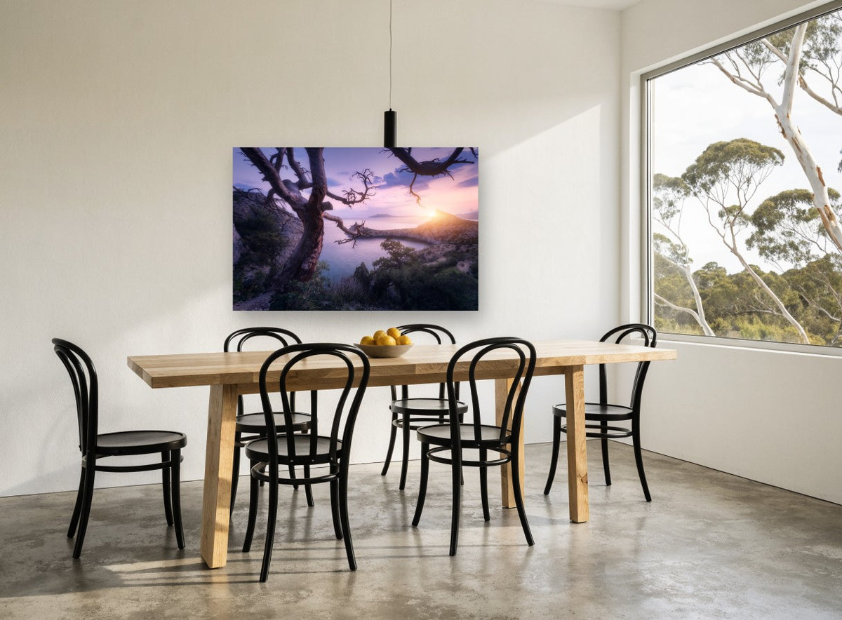 Twisted Tree Sunrise Bay coastal canvas print on the wall of a dining room