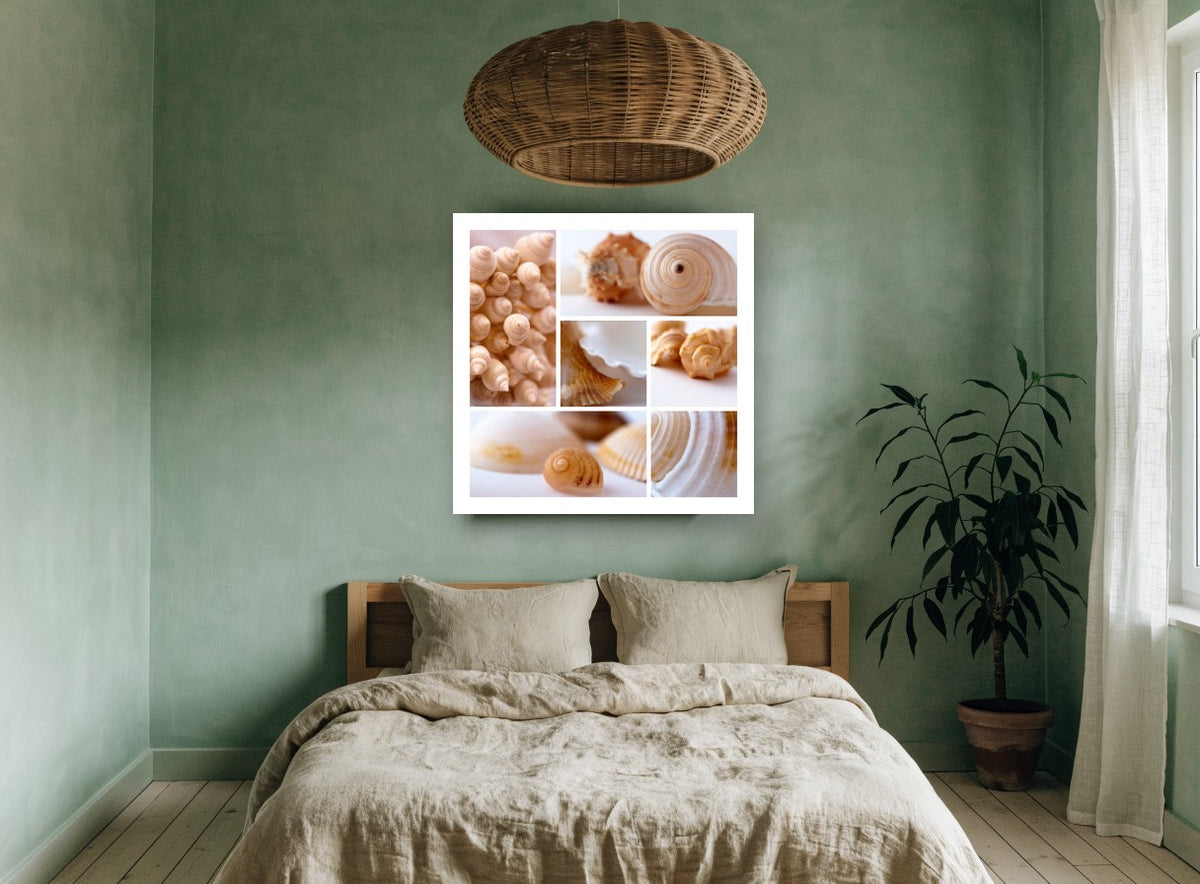 Soft Shell Collage coastal canvas print on the wall of a bedroom