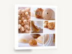 Soft Shell Collage, sea shells photographic collage square, coastal canvas wall art print ready to hang